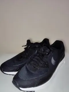 NIKE 24.5cm AIR MAX 90 ULTRA 2.0 エアマックス