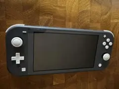 【動作確認済み】Nintendo switch lite グレー　ケース付