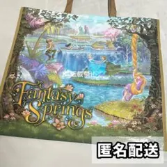 2025年最新】ファンタジースプリングスショッパーの人気アイテム