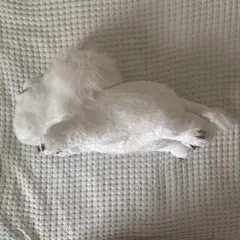 シャクレプラネット　ホワイトライオン　ぬいぐるみのサムネイル