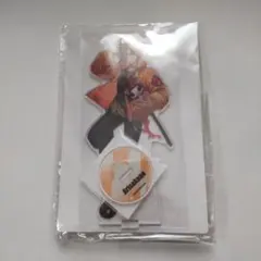 【Crazy Raccoon】ありさか ビッグアクリルスタンドvol.3