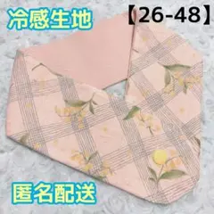 アイスノン首もとひんやり氷結ベルト用カバー【26-48】ネッククーラーカバー