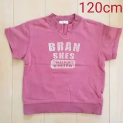 ブランシェス★半袖トレーナー★120cm