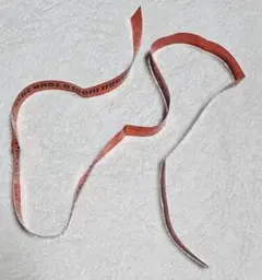 Item thumbnail for item 8ee92c22-90bb-4643-9b35-91db0165a802