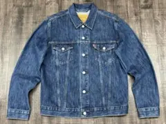 Item thumbnail for item 173e614d-3317-49a9-9e20-80a6376d7c7d