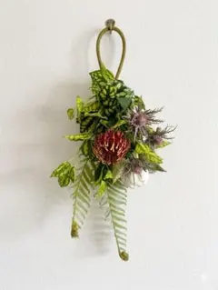 【美品】プロテア＆エリンジュウムのボタニカルスワッグ（存在感のある60cm）