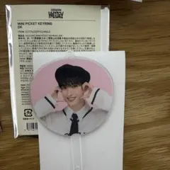 SEVENTEEN セブチ Holiday ペンミ　ミニピケット ドギョム