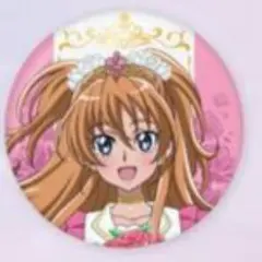 北条響 缶バッジ アクリルカード スイートプリキュア カラオケの鉄人