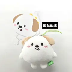 RIIZEアントン モンリョンイ ミニキーリング - メルカリ