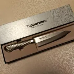 Item thumbnail for item ae0b4ce7-3e93-4311-9179-9f4e2234eb22