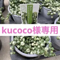 2025年最新】グリーンネックレス斑入りの人気アイテム - メルカリ