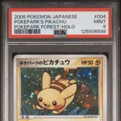 ポケパークのピカチュウ ゴンベ トレーディングカードセット ポケパークのピカチュウ ゴンベ トレーディングカードセット