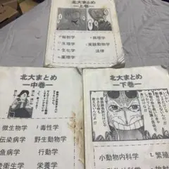 令和2年度　北大まとめ 2026年最新】北大まとめの人気アイテム - メルカリ