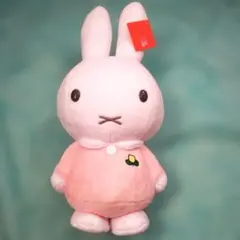 Item thumbnail for item 09b9d39e-dd80-4f09-9797-f8276b22ff00