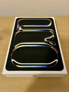 11インチiPad Pro Wi-Fiモデル 256GB おまけ付き 中古