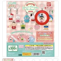 るるる学園　なおみサンリオキャラクターズ　めじるしアクセサリー