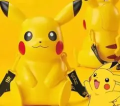 激レア★韓国ヒズキンラビンス ポケモン ピカチュウ コンテナ