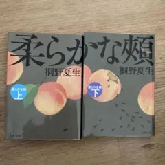 柔らかな頬 上・下セット 桐野夏生