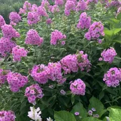 alice.1112.0406様 リクエスト 4点 まとめ商品