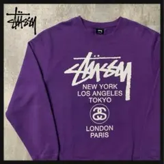 【希少Lサイズ】ステューシー　スウェット　希少カラー　極美品　裏起毛　入手困難