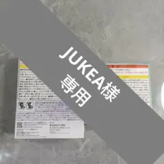 【新品未開封】たまごっちパラダイス2個セット しなこフォレスト