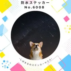 【送料無料❣️】コーギー防水ステッカー 星空