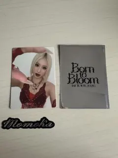 HANA Born to Bloom トレカ MOMOKA モモカ