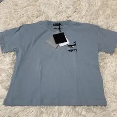 Item thumbnail for item d3e42a20-ba8a-4478-a8c9-266a68b53128