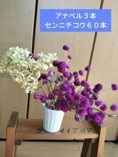 アナベル　センニチコウ　ドライフラワー　セット　スワッグ　ハンドメイド材料