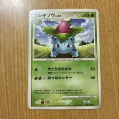 2026年最新】ひかるフシギバナの人気アイテム - メルカリ