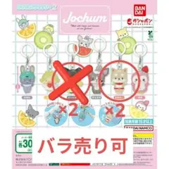 JOCHUM めじるしアクセサリー ジェオチャムピーハイ まめちぃ