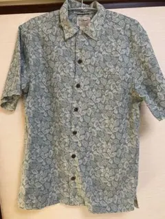 Item thumbnail for item 2c4c142c-615d-438a-8d15-fbf9c2df38be