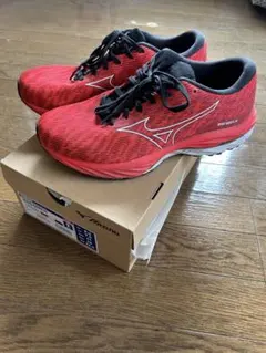 専用　 ミズノ　ウェーブライダー26