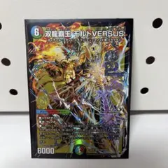 双龍覇王 モルトVERSUS