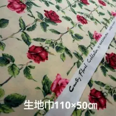 Item thumbnail for item 9bf0b3c9-3e1b-435f-8c39-8d225d85bde5