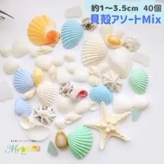 貝殻セット　貝殻アソート　40個　工作　ハンドメイド　海　貝がら　パーツ　素材