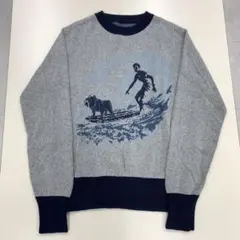 【美品】Schott ショット サマーニット サーフブル M グレーのサムネイル