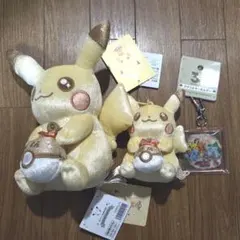 ポケモン　周年ぬいぐるみ　マスコット　アクリルキーホルダー