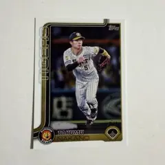 Item thumbnail for item d8e3cd1f-bd02-4e94-8b47-ffdb42dd44ba