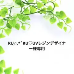 RU✩.*˚RU♡UVレジンデザイナー様専用ページ　かすみ草　ドライフラワー