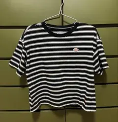 Dickies 半袖ストライプTシャツ