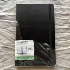 Item thumbnail for item c240824e-3ad4-48a6-ba41-993dc6bde99d