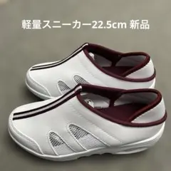 Item thumbnail for item 5f8899bf-da58-4e54-8724-4d9cd3862164