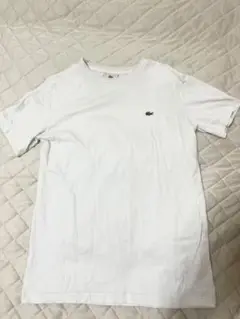 【土日限定値下げ❗️】LACOSTEホワイト半袖Tシャツワンポイントサイズ3(S)