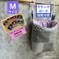 モモンガ 夏用 接触冷感 三角ポーチ ハウス おうち Lサイズ