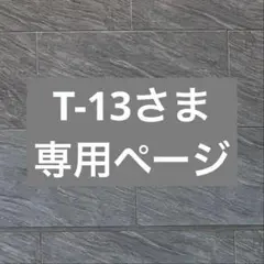 T-13 様　スヌーピーパスケース1つ