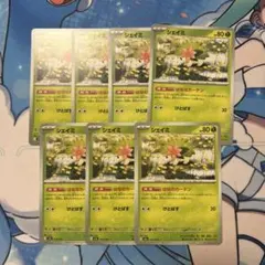 ポケモンカード　シェイミ　はなのカーテン