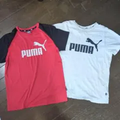 プーマ　Tシャツ　半袖　160 2枚　トップスのサムネイル