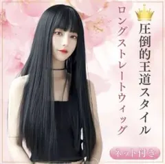 フルウィッグ ウィッグ 黒髪 ロング ストレート ウイック かつら コスプレのサムネイル