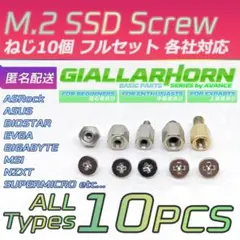 10個セット M.2 SSD 固定用 ミリネジ ボルト セット 7種類 インチ